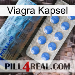 Viagra Capsule 40